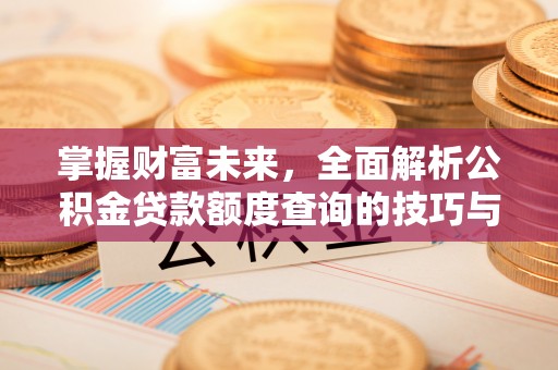 齐齐哈尔掌握财富未来，全面解析公积金贷款额度查询的技巧与策略
